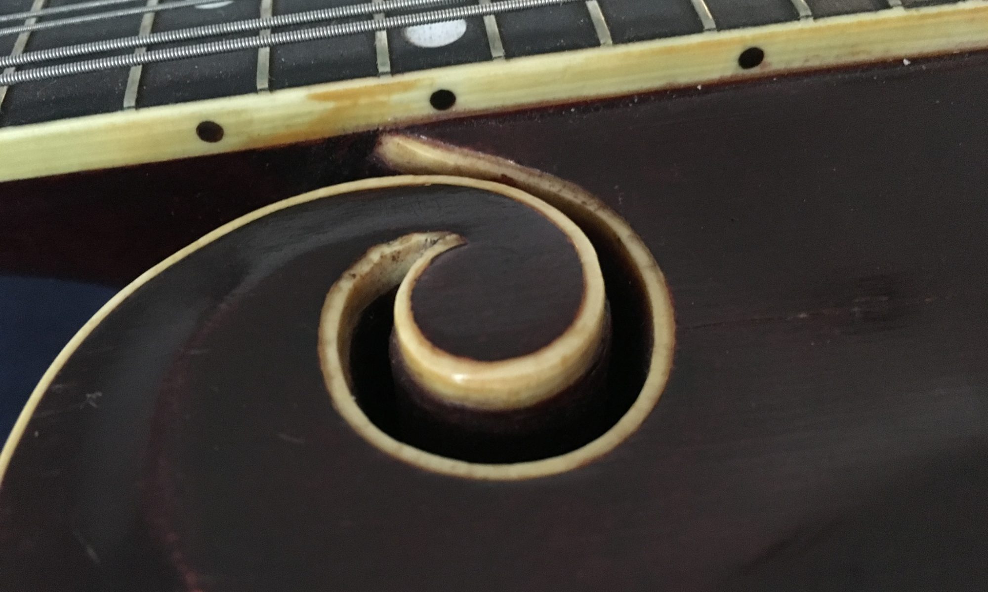 modern mandolin